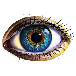 Eye Sketch Transparent Png 05262024 PNG image