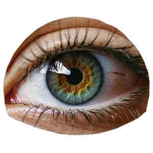 Eye Slot Transparent PNG 18