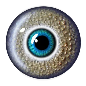 Eyeball Sketch Png Ams66 PNG image