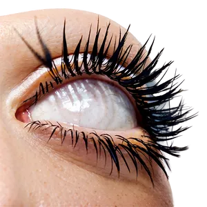 Eyelash Extension Graphic Png Bvd PNG image