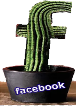 Facebook Cactus Pot Concept PNG image