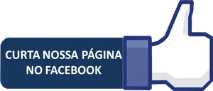 Facebook Like Button Brazilian Portuguese