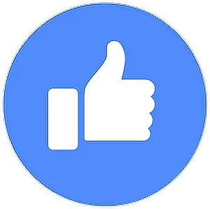 Facebook Like Icon