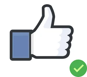 Facebook Like Icon Verified PNG image