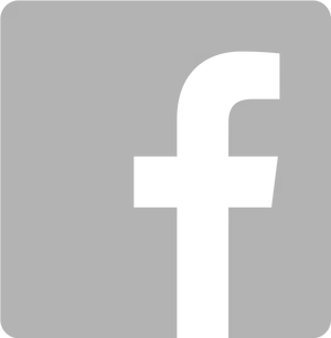 Facebook Logo Classic Icon PNG image