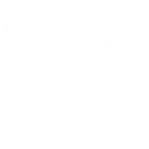 Facebook Logo Icon