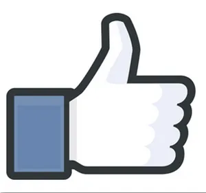 Facebook Thumb Up Icon PNG image