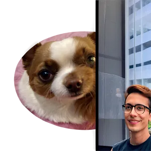 Facetime Call With Pets PNG Xej