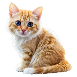 Fairy Cat Filter PNG Mhw18 PNG