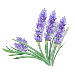 Fairy Tale Lavender PNG 3 PNG