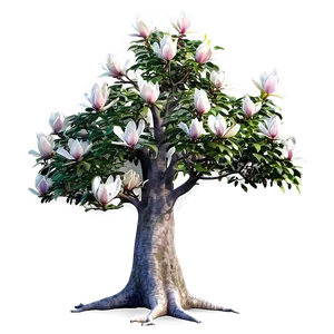 Fairy Tale Magnolia Tree PNG Cbf94
