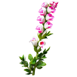 Fairylike Snapdragon PNG 06252024 PNG