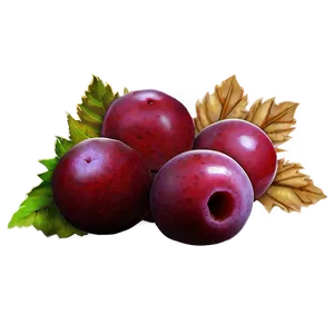 Fall Berries Png 05212024 PNG image