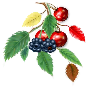 Fall Berries Png Iws PNG image