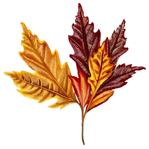 Fall Leaf Clipart Png 05252024 PNG image
