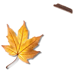 Fall Leaf In Sunlight Png 15 PNG image