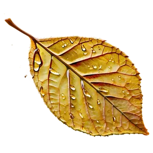 Fall Leaf With Dew Png Jxo PNG image