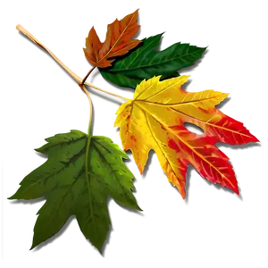 Fall Leaf With Shadow Png Nod PNG image