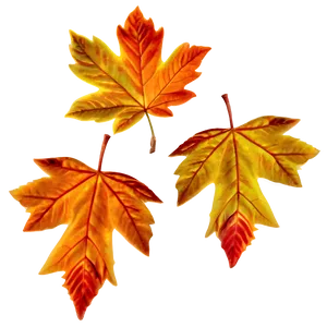 Fall Leaves A PNG image