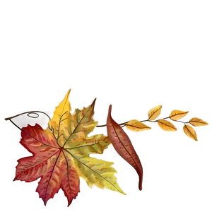 Fall Leaves Arrangement Png Cpb PNG image
