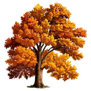Fall Oak Trees Aesthetic PNG 06212024 PNG