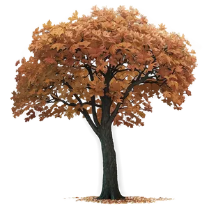 Fall Oak Trees Aesthetic PNG Fkn62 PNG