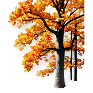 Fall Oak Trees Aesthetic PNG Uat60 PNG