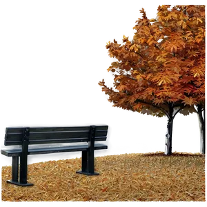 Fall Trees And Bench PNG 87