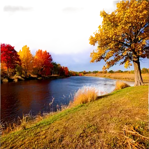 Fall Trees By The River PNG 06212024