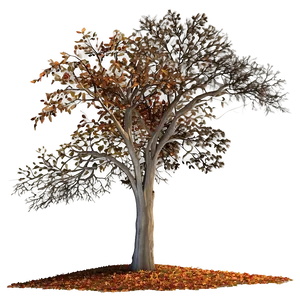 Fall Trees Landscape Png 06212024 PNG image