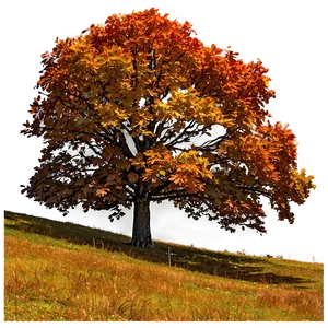 Fall Trees On Rolling Hills PNG 06212024 PNG