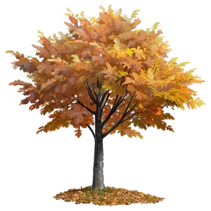 Fall Trees With Fog PNG 06212024