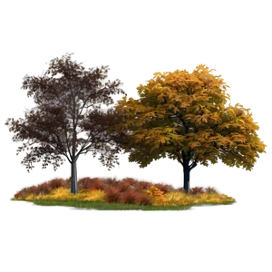 Fall Trees With Fog PNG Qik41 PNG