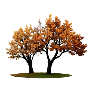 Fall Trees With Starry Sky PNG 5 PNG
