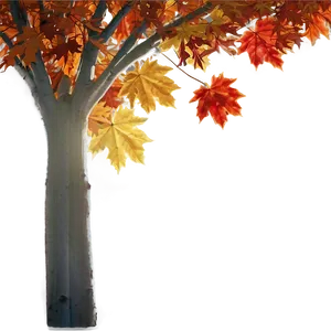 Fall Trees With Sunbeams PNG Xfe PNG