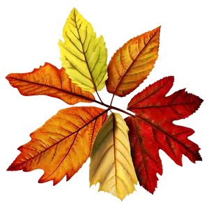 Fallen Autumn Leaves Png 84 PNG image