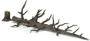 Fallen_ Dead_ Tree_3 D_ Render PNG image