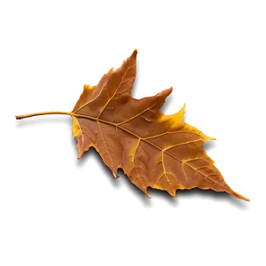 Fallen Leaves In The Park PNG Ysk