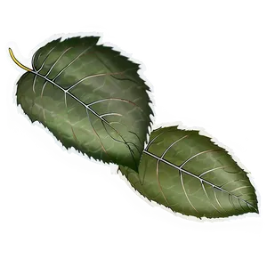 Fallen Leaves Natural Background PNG 06292024