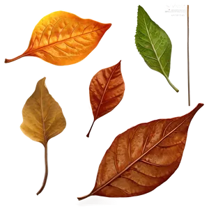 Fallen Leaves On Wooden Surface PNG Ljd PNG