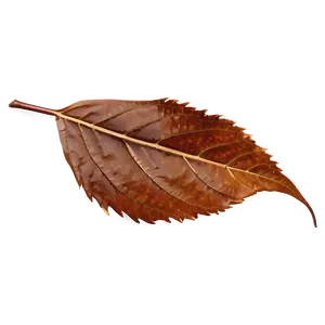 Fallen Leaves On Wooden Surface PNG Pln30 PNG