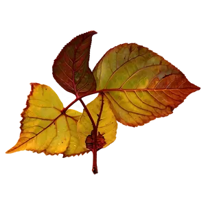 Fallen Leaves PNG Ady