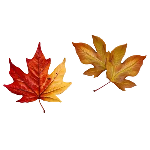 Fallen Leaves Png Gwt23 PNG image