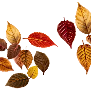 Fallen Leaves Png Xqm91 PNG image