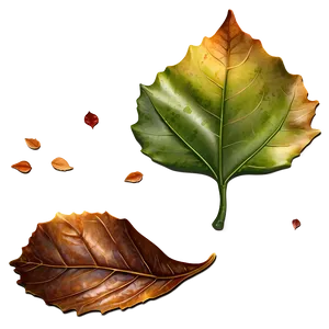 Fallen Leaves Underfoot Png 88 PNG image