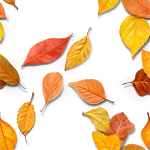 Fallen Leaves Underfoot Png Ffw47 PNG image