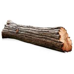 Fallen Tree Trunk PNG 05242024