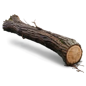 Fallen Tree Trunk PNG 05242024