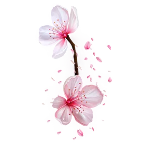 Falling Sakura Petals Png 06202024 PNG image