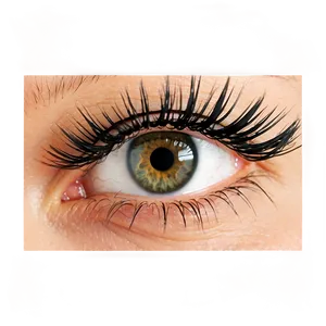 False Eyelashes Png 53 PNG image